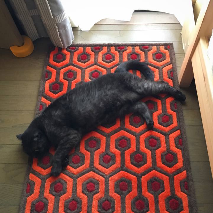 3c71d2e3 c015 436d 96f4 52eaf24f9c0e 1532147541761