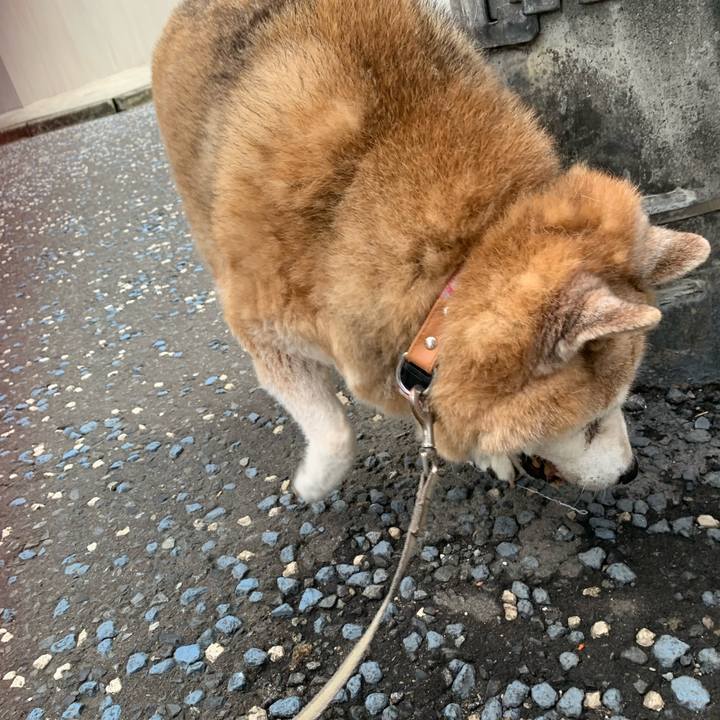 3c71e431 df6d 401e 8b37 e18aeeea5a7d 1653643336916