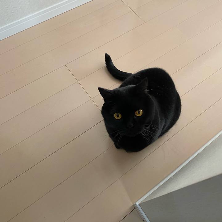 3c7273ff 554d 4144 ac2e 4ebd705f0343 1709855691090