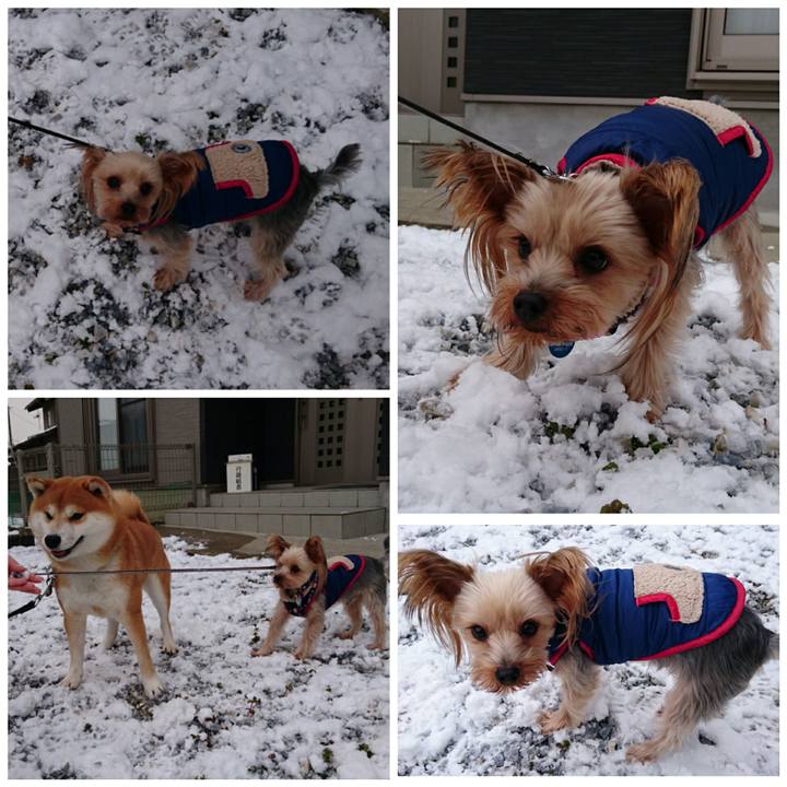 3c7278c2 0781 4486 be39 c61eb555a0f4 1515928210633