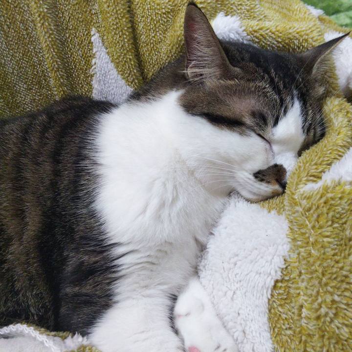 3c728d9e 2ab8 4a0c 8c53 f1797f0bc784 1639198303724