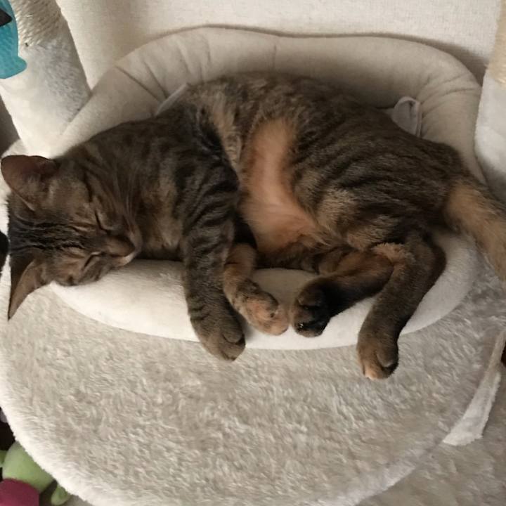 3c728f05 3c7d 4271 857b 1bb2d6255d47 1594685383821