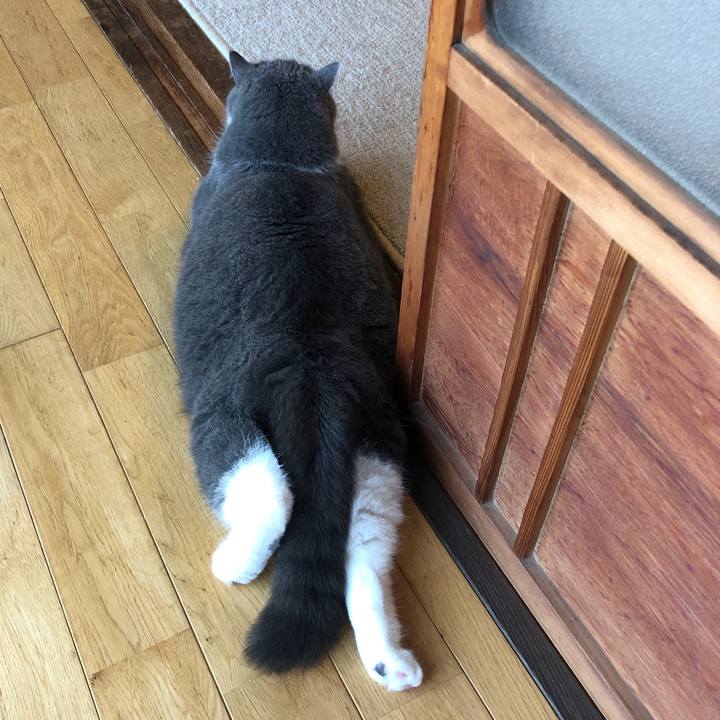 3c72cb35 4f97 4115 9b67 ddf1654be022 1621913683645