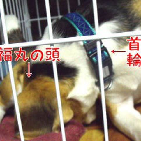 3c72ce8d 4fee 47ac b5dc d2996c4e17da 1684189543257