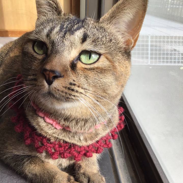 3c72df98 ef1c 482a 8733 6fcf7581750f 1614580629379