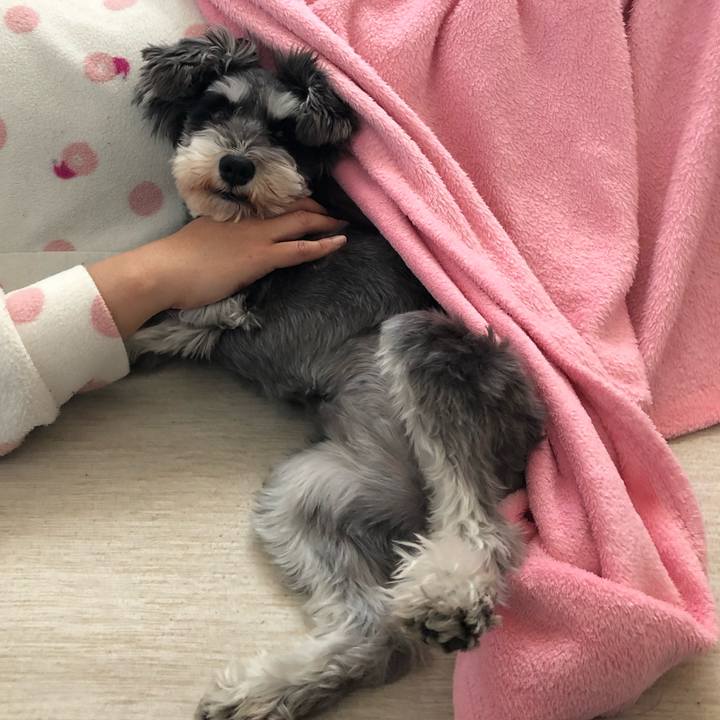 3c72febc b127 4b55 b96e 32c86f9997aa 1554618957684