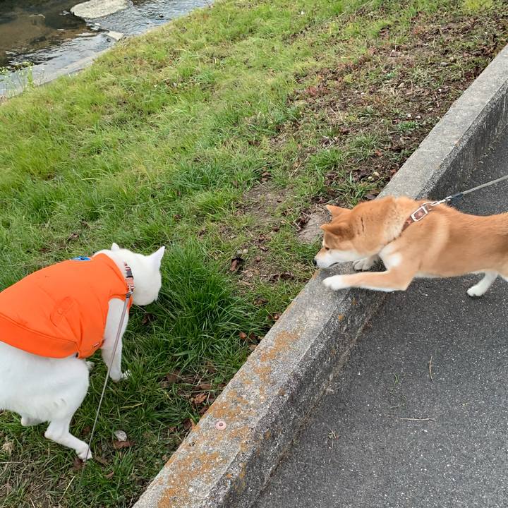 3c734013 c493 4f0c aed2 e8027a340ffc 1578223549579