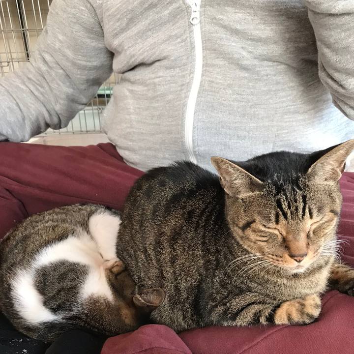 3c734185 f6ed 4d70 9288 25475129fbc8 1518484516872