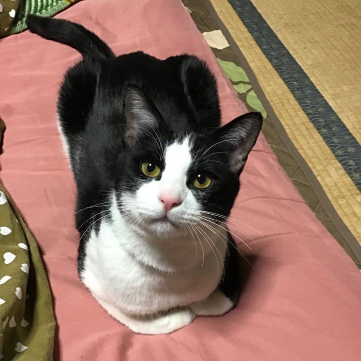 3c7345c3 e7ad 4ff1 973f 49544095747a 1644836381053