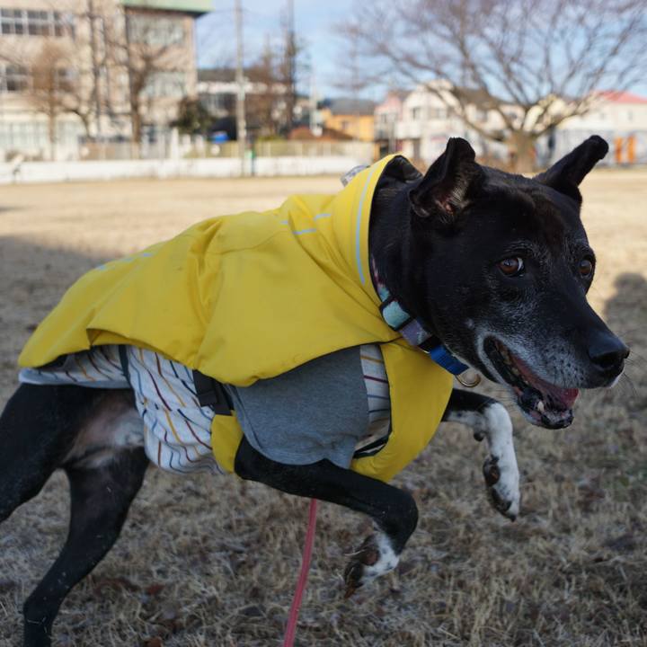 3c7369b5 3c40 4e9e 9dcc 54ce27b0b9a5 1767143171174