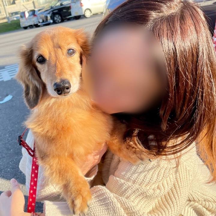 3c736e77 7b05 41dd baa5 d67006f42a6f 1634995875923