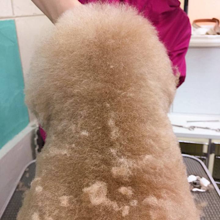 3c73993e 42b3 42f1 9414 9871572a0bbe 1572770367046