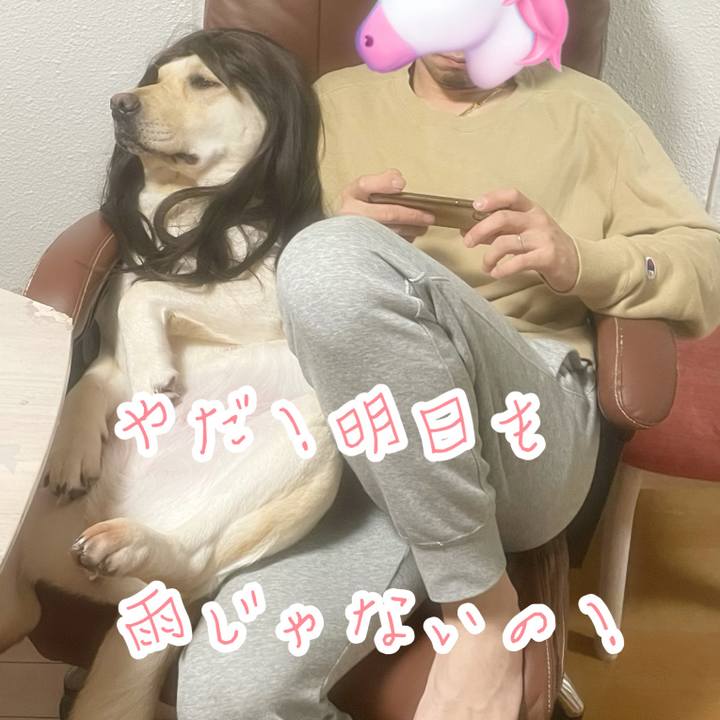 3c73ab97 c303 49f2 8777 067bf0ac2694 1681529639987