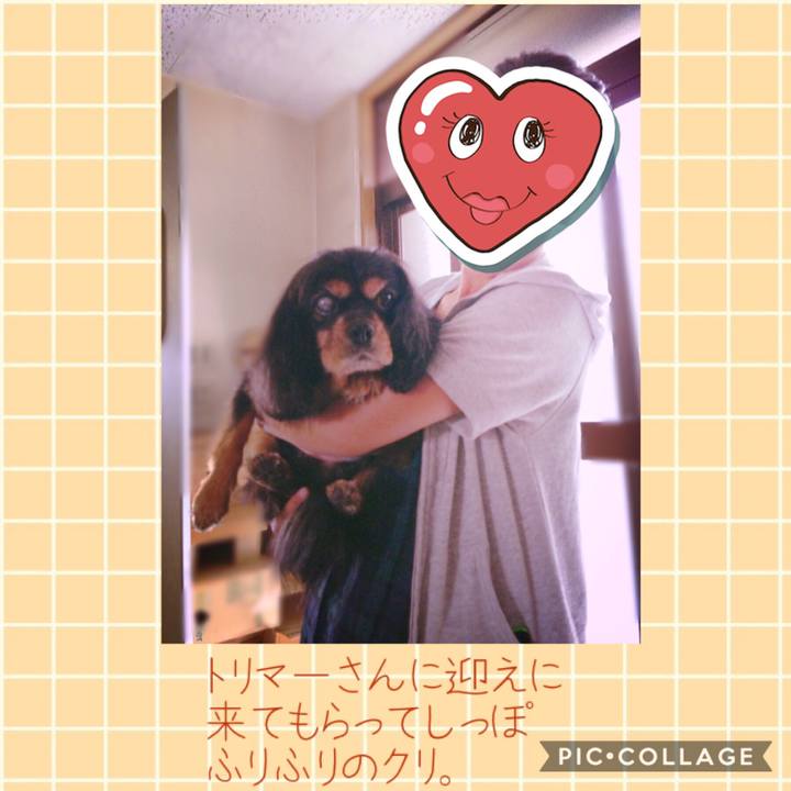 3c73abc0 c5c4 4bcc 9adf 759b71ac4ae0 1541647017627