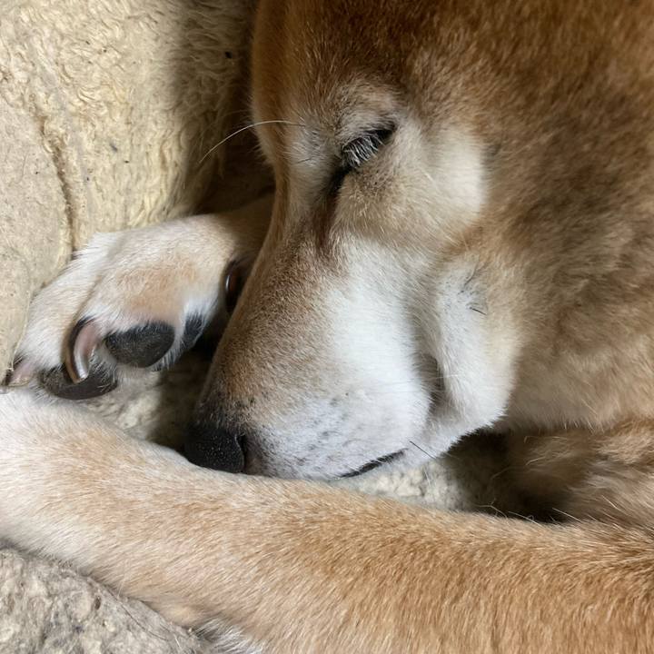 3c73b144 d176 4ff9 a530 2eef8e5ea5c3 1644733074266