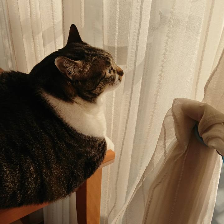 3c73b4e0 cb90 4bcd a44e 5921e9489398 1572821240194