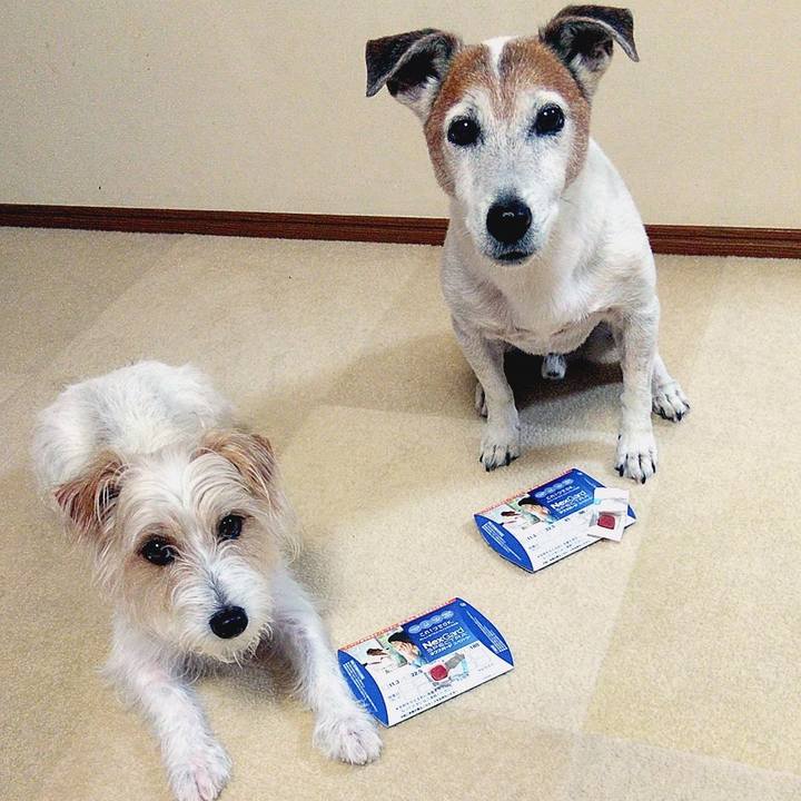 3c73d0bd 9cd6 4929 9250 3b5cb236a653 1563020426676