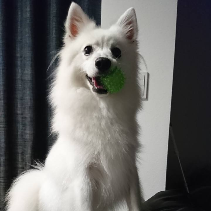 3c73fe27 8c7d 4db0 9e8a 3810539eaa8c 1535020213167