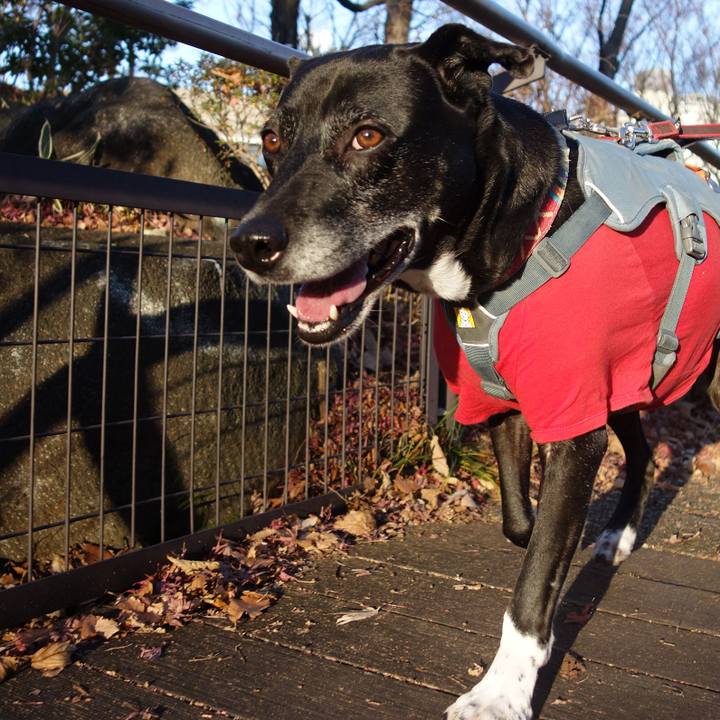 3c74057b 2dd5 4b3d 94ba f6ad616da80d 1736381217651