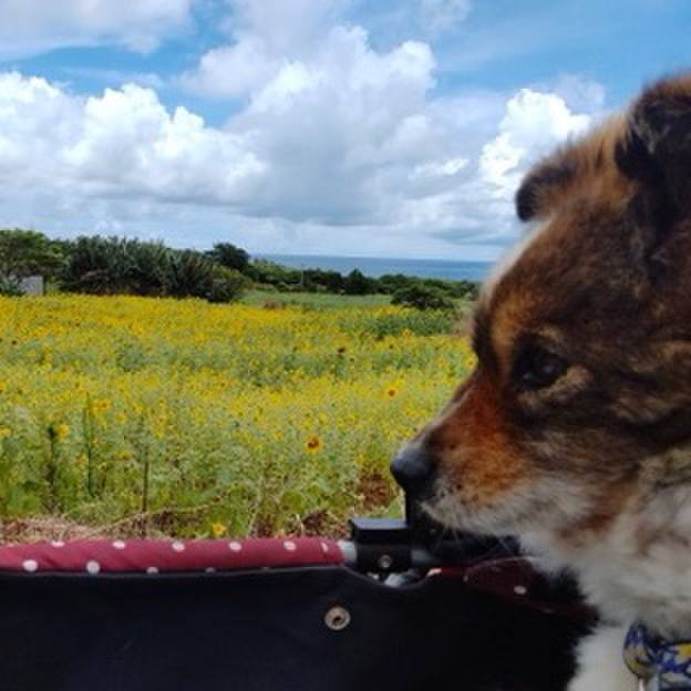 3c742b8a 078c 48e4 8c5f b3305bf0b70d 1623332833079