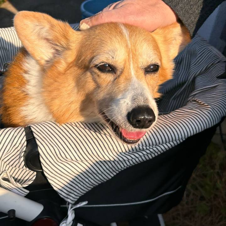 3c744413 4660 45ac 8356 e4c4732d261f 1767060347590