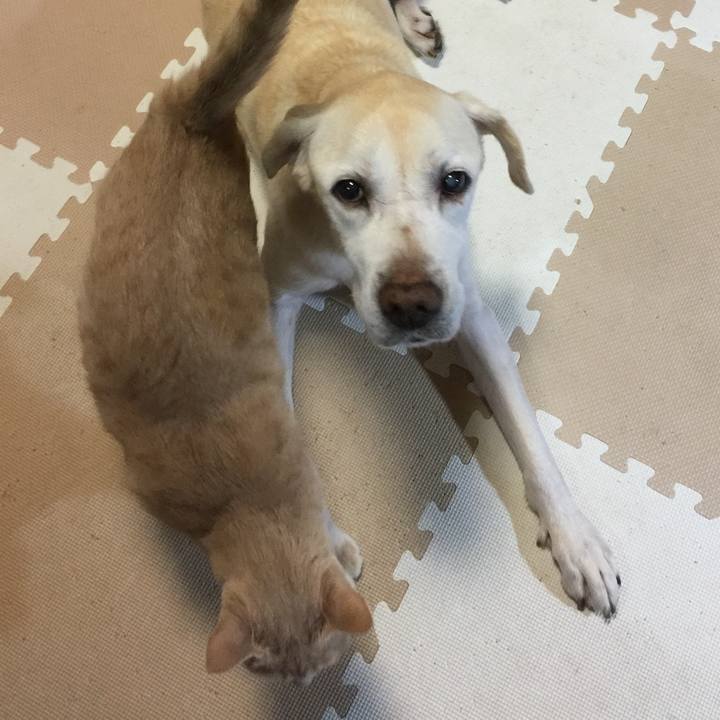 3c7456ca 5eba 41a0 a879 a4a4d02458b8 1599741225900