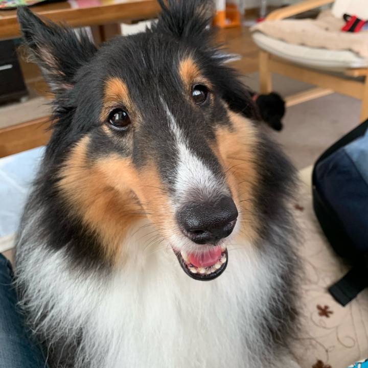 3c74570c 22bb 442e a2c5 ec3740c77cb6 1596236406473