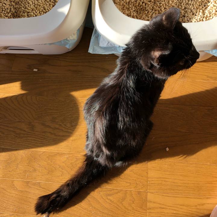 3c748f12 c4f9 4e37 9330 c989b6241ba8 1557697686152