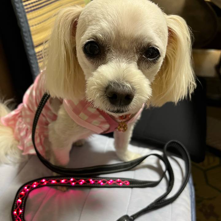 3c7491f1 d1f8 478c 9b07 069265b8e111 1690549017386