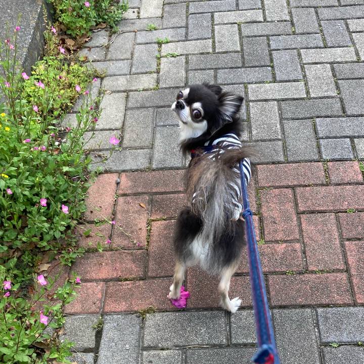 3c74a870 275d 4b8d 8078 5050bbc0544d 1714321256444