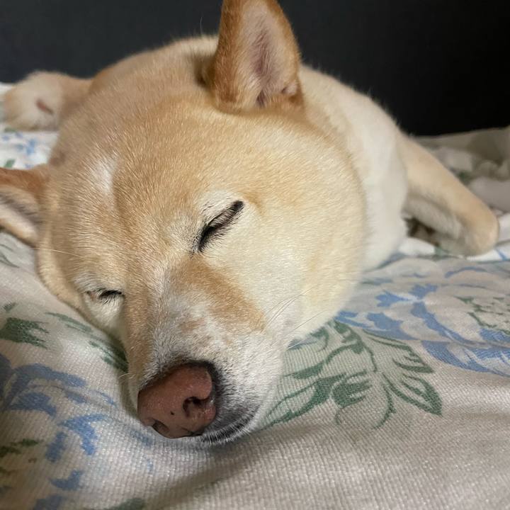 3c752d40 7eab 4f6c ad37 6b7f766e7bf6 1719230080894