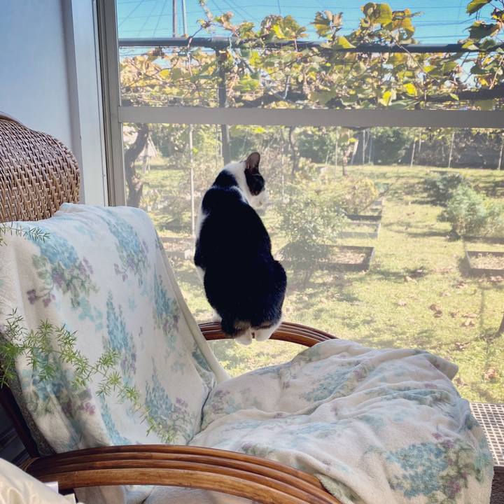 3c7530f5 c7a2 4aac ae25 4bdbb1b8042e 1603955043378