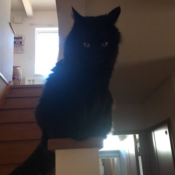 3c754696 dded 47a5 b58b d23744d28aa2 1555547434174