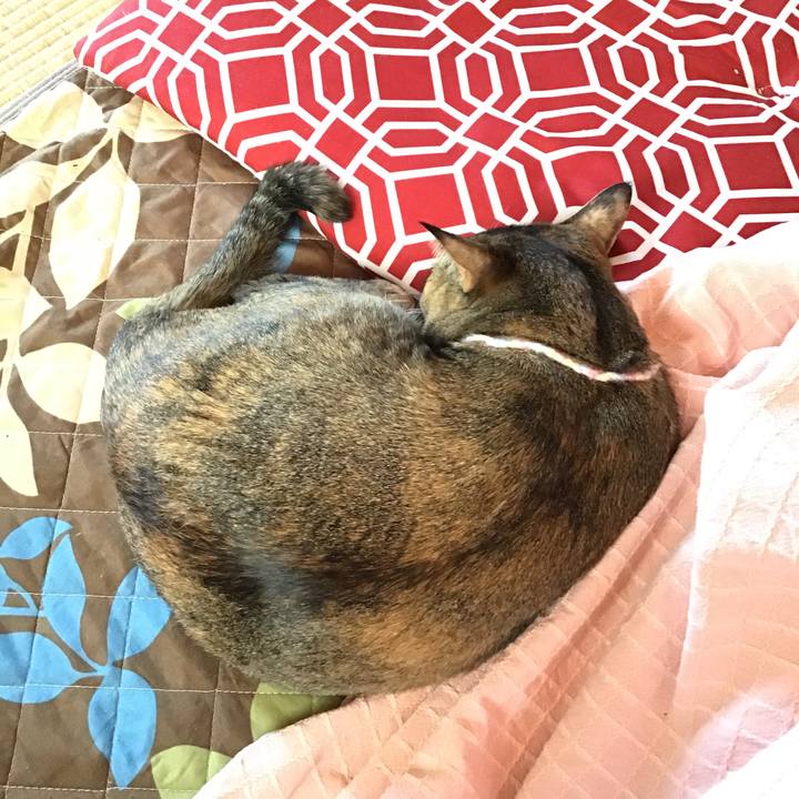 3c757111 df49 463c 9262 baa417ae99e2 1615765849107