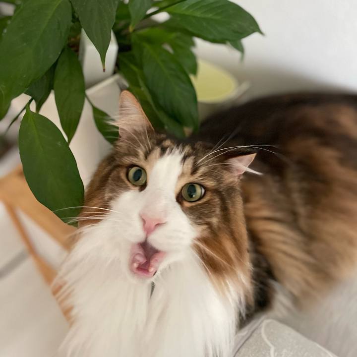 3c758510 ed31 48a5 81d5 e3d02e348005 1718912909612