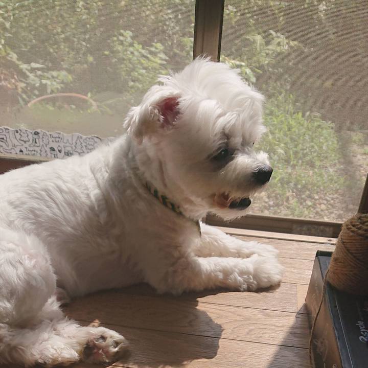 3c75869e 4a52 4ab6 bd61 ef17a42146cc 1598266924121