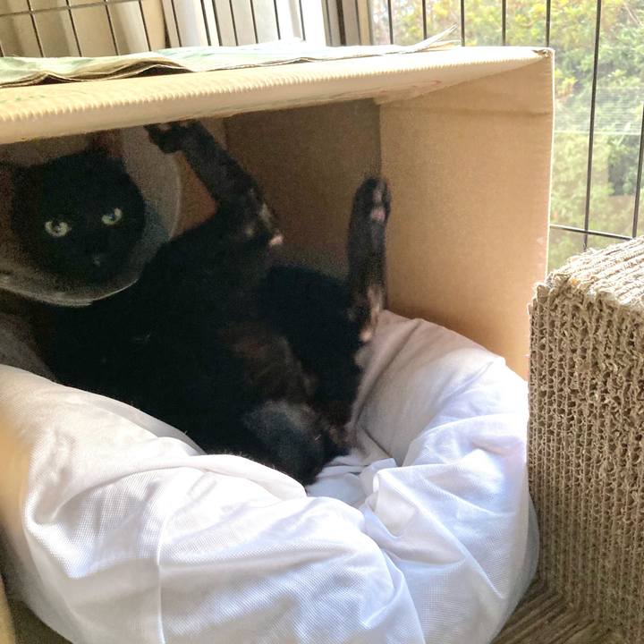 3c759f66 ad27 4519 88e5 eeb88edb5ee6 1707649098994