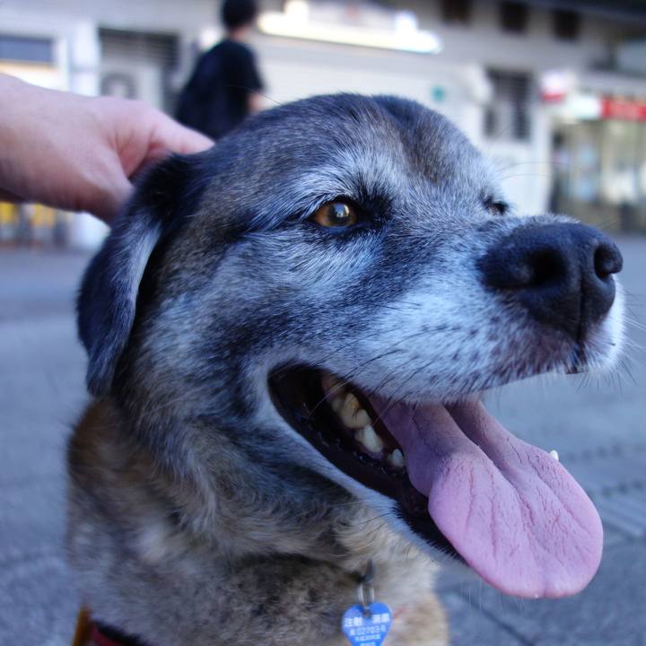 3c75a49a 7028 4e07 b020 2cc5df86c17b 1640827556137