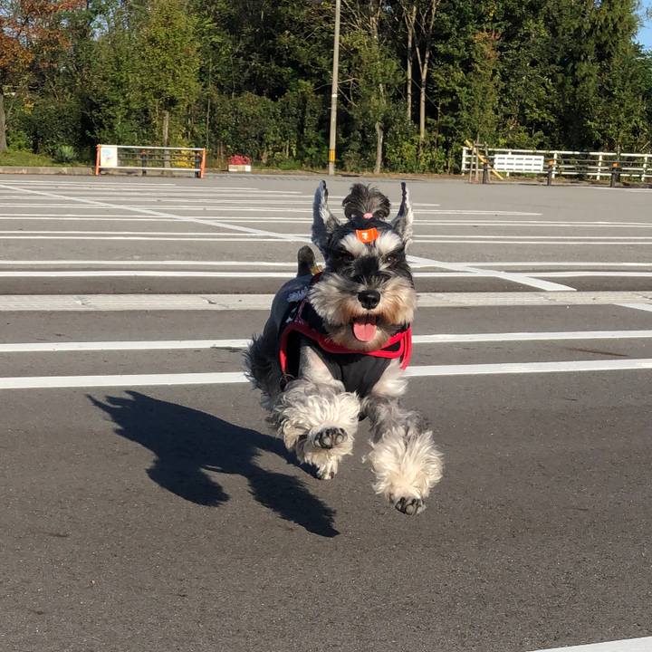 3c75b188 4f49 40ba 923f 1b8b4f93a184 1572752988967