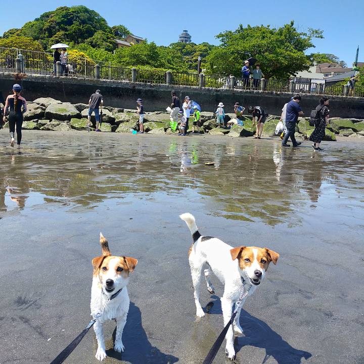3c75f01b ea02 465a a2d6 24f69b9e04f3 1779004112785