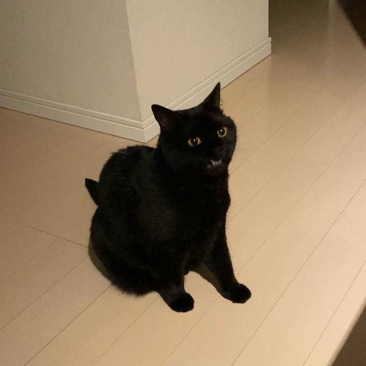 3c76015b a157 455a 9b38 6d8221ef1cf7 1623762032390