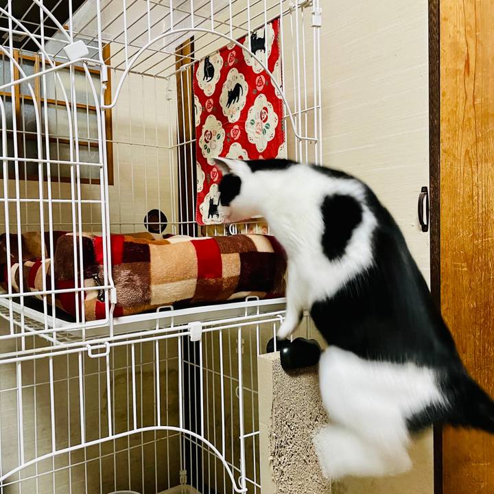 3c764dc9 7eec 4f12 9327 9b040007a015 1606967219447