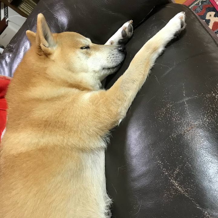 3c766e6c 093a 42e1 b1c7 b68728bf1a80 1516345954272