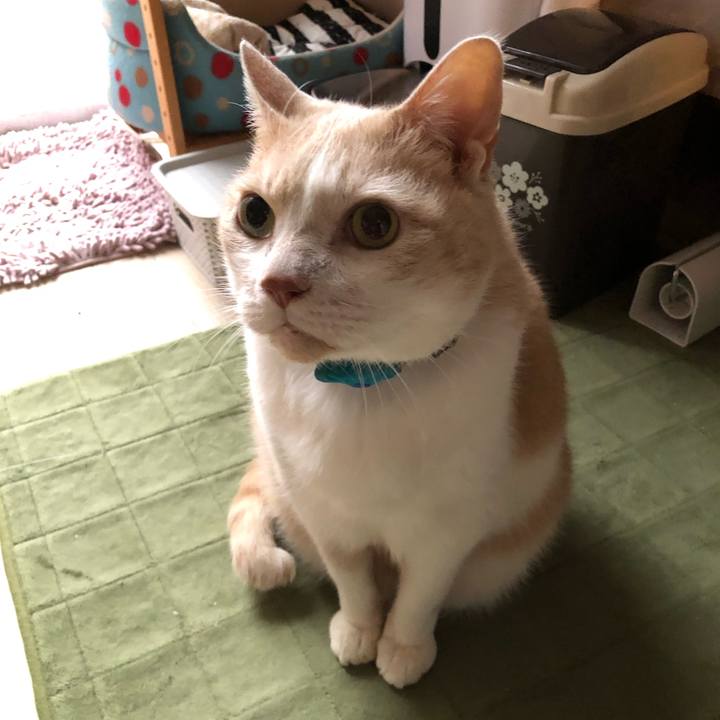 3c768387 dd8f 495b bbc1 263f1cab1ea1 1609800282535