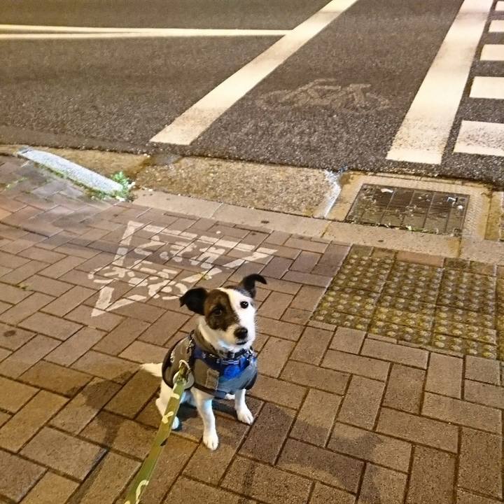 3c7697cc 28ac 4ad1 8dd1 66551e030074 1510137576952