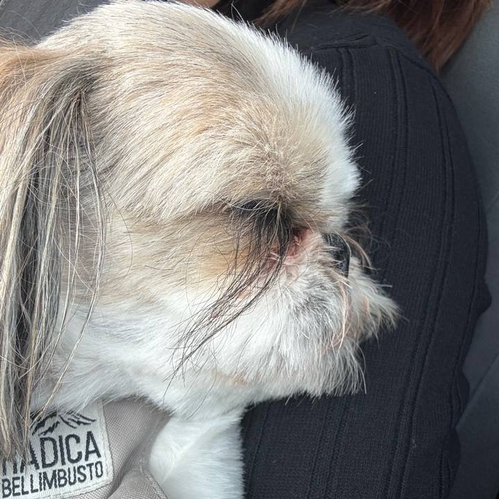 3c76f2ac 6264 4e3e 80b8 731d953cc89b 1748156680508