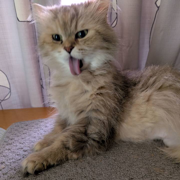 3c76f849 6270 4201 801f 984100c6b3a7 1747519782484