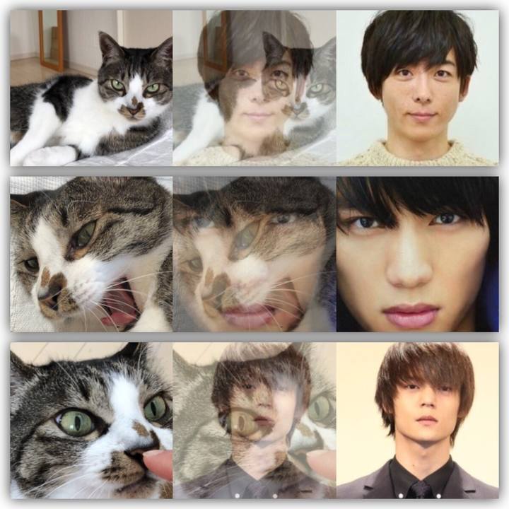 3c770116 2ff1 4998 a581 fa5f2b33cc5f 1528502680393