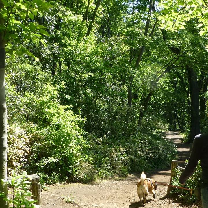 3c770773 9cd0 42d6 a56f 43e696740324 1578788361727