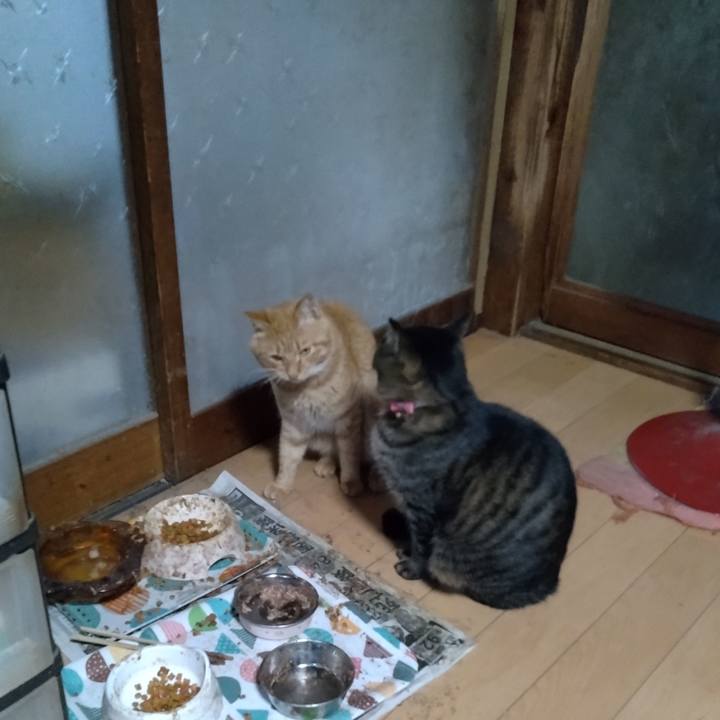 3c771424 a146 4ff5 b1bf cb04ea2988d4 1668496523895